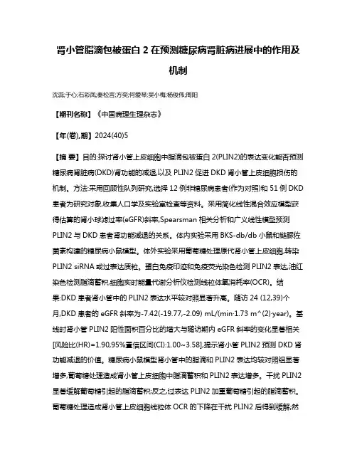 肾小管脂滴包被蛋白2在预测糖尿病肾脏病进展中的作用及机制