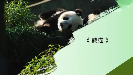 创意绘画——熊猫——美术教案PPT课件
