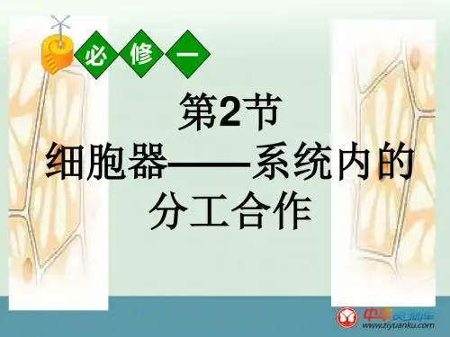 高一生物课件：第三章第二节《细胞器》