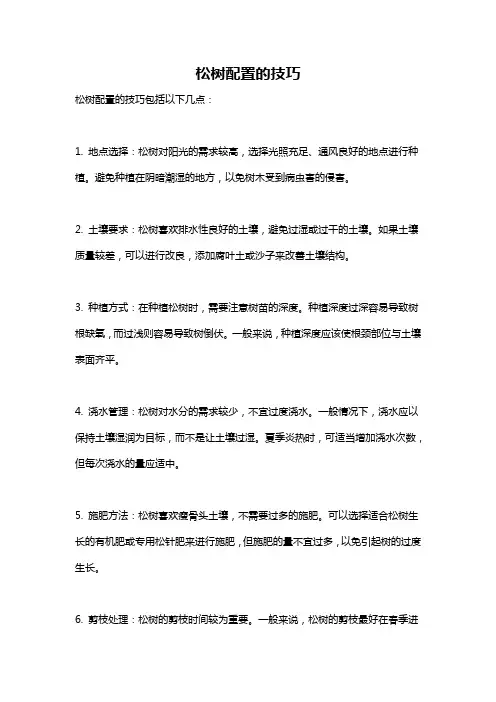 松树配置的技巧