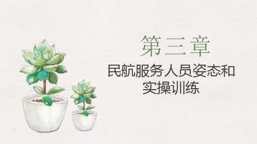 第三章民航服务人员姿态和实操训练