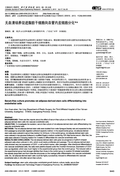 无血清培养促进脂肪干细胞向血管内皮细胞分化