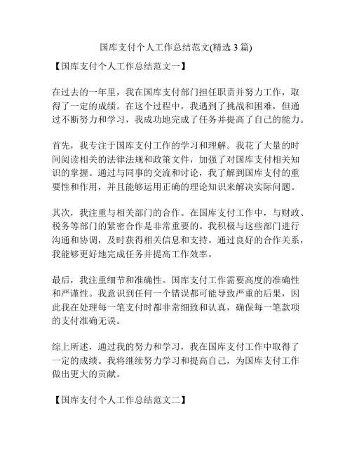 国库支付个人工作总结范文(精选3篇)