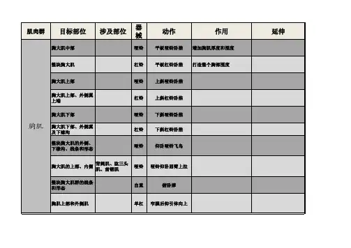 哑铃杠铃健身动作大全