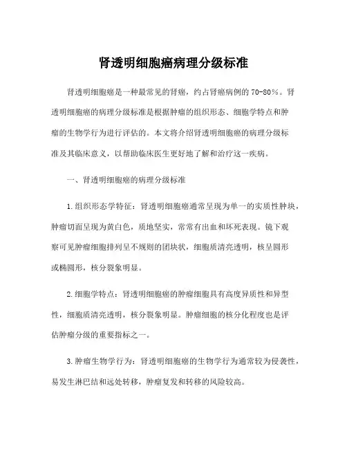 肾透明细胞癌病理分级标准