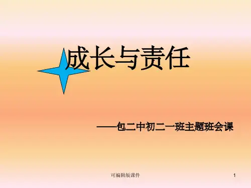 初中主题班会成长与责任ppt课件