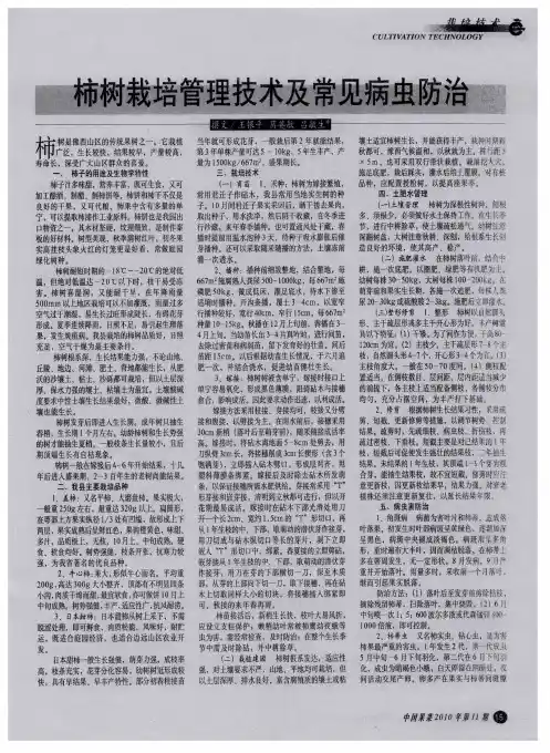 柿树栽培管理技术及常见病虫防治
