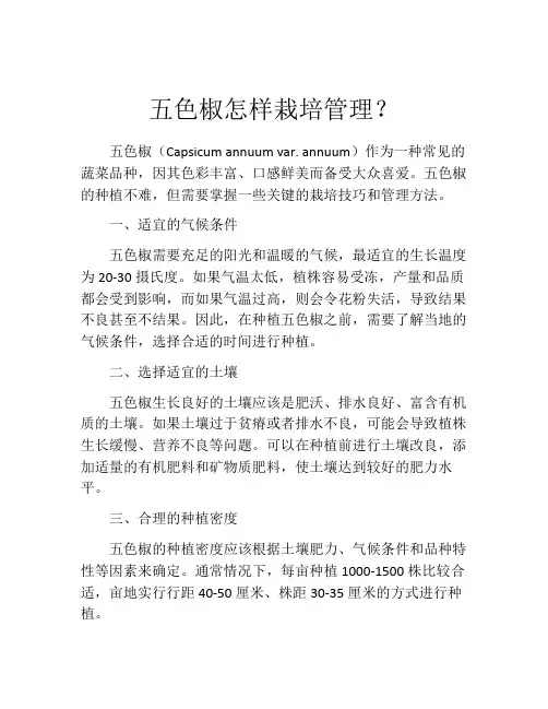 五色椒怎样栽培管理？