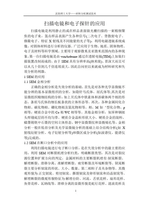 扫描电镜的应用