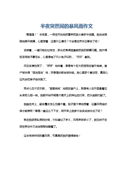 半夜突然间的暴风雨作文