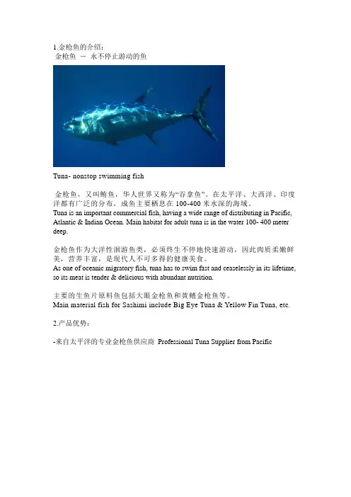 金枪鱼的介绍