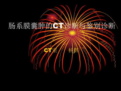 肠系膜囊肿的CT诊断与鉴别诊断