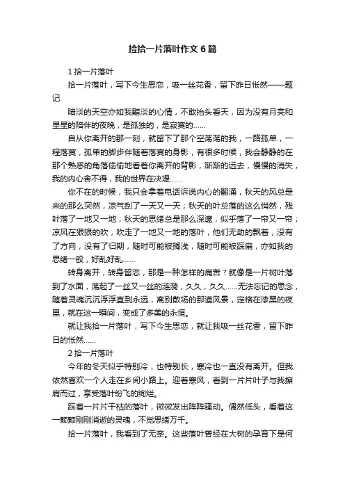 捡拾一片落叶作文6篇