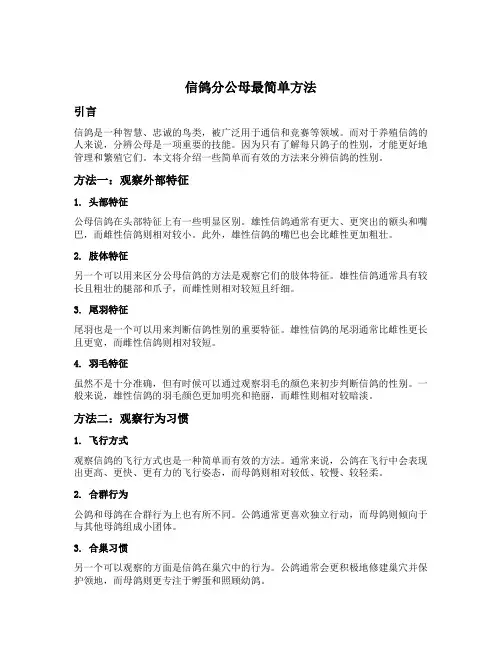 信鸽分公母最简单方法