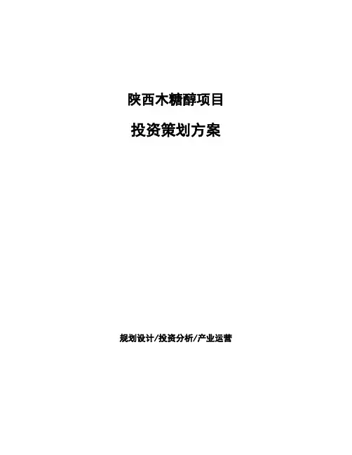 陕西木糖醇项目投资策划方案