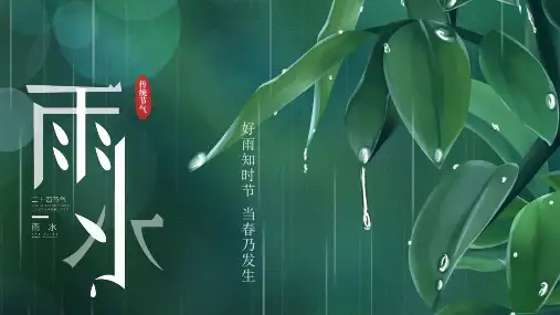 传统节日 二十四节气 雨水 PPT