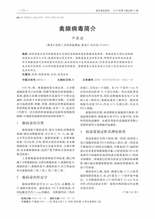 禽腺病毒简介