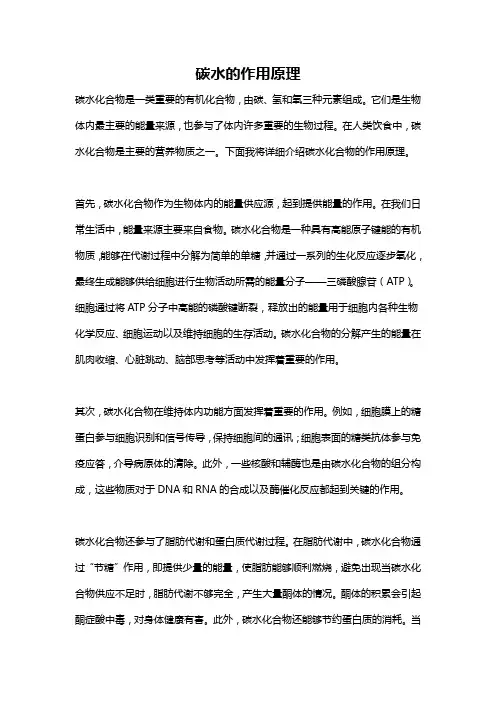 碳水的作用原理