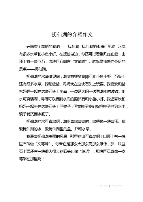 抚仙湖的介绍作文