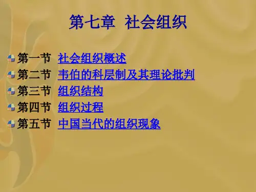 社会学概论第七章 社会组织