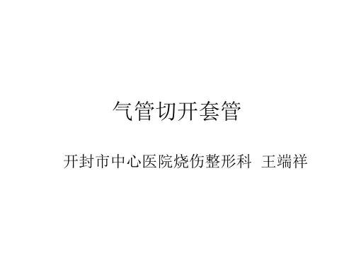 气管套管