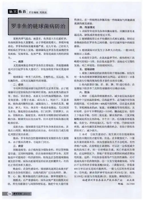 罗非鱼的链球菌病防治