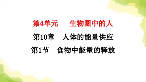 北师大版七年级生物下册第10章人体的能量供应第1节食物中能量的释放课件