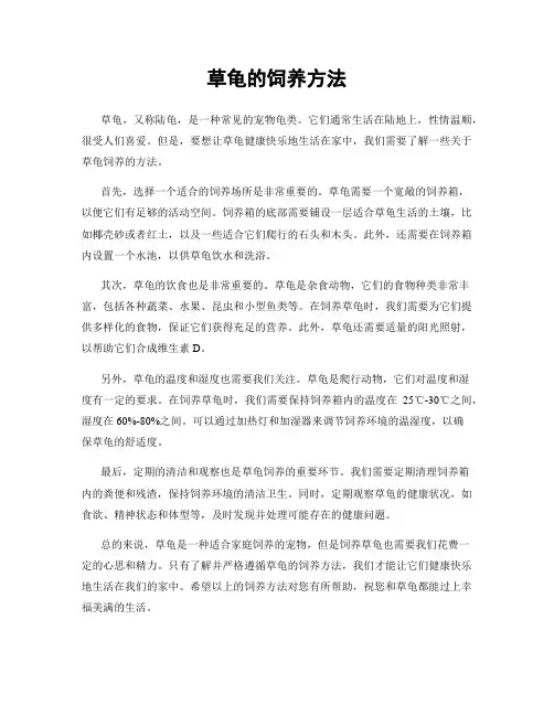 草龟的饲养方法