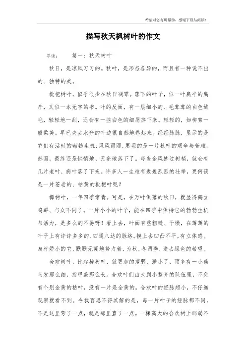 描写秋天枫树叶的作文