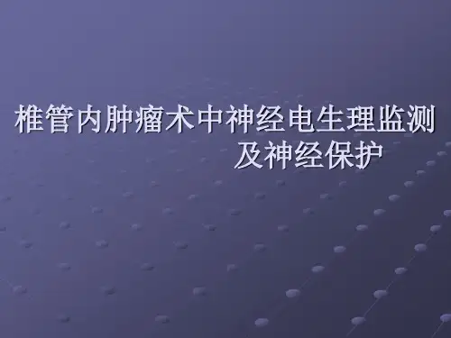 椎管内肿瘤术中神经电生理监测及神经保护ppt课件