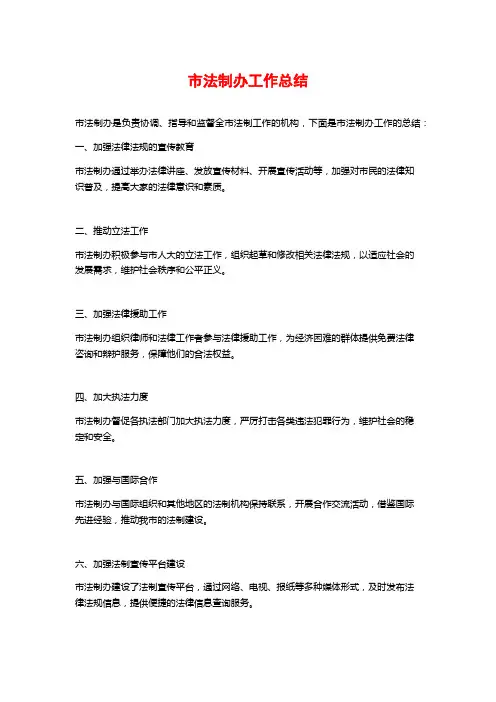 市法制办工作总结 (2)