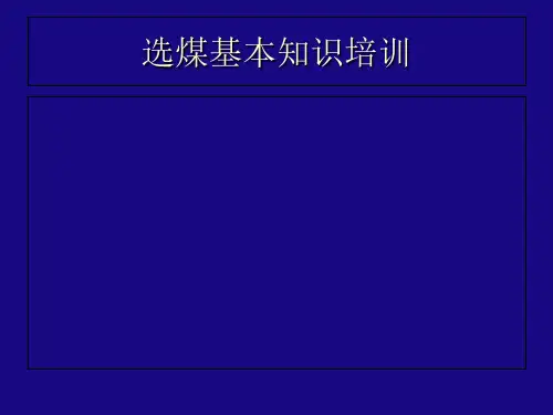选煤基本知识讲解学习