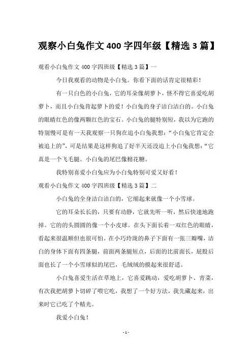 观察小白兔作文400字四年级【3篇】
