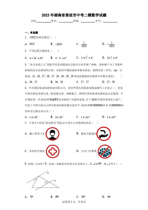 2023年湖南省娄底市中考二模数学试题