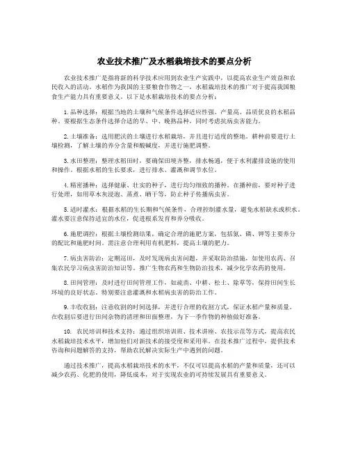 农业技术推广及水稻栽培技术的要点分析