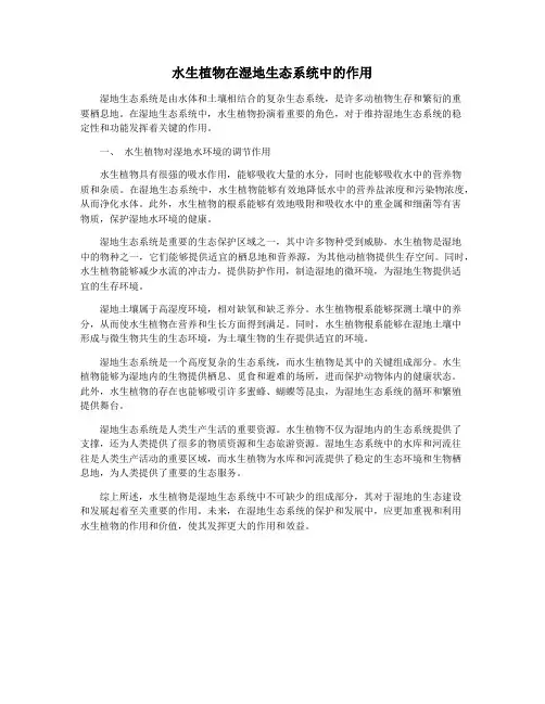 水生植物在湿地生态系统中的作用