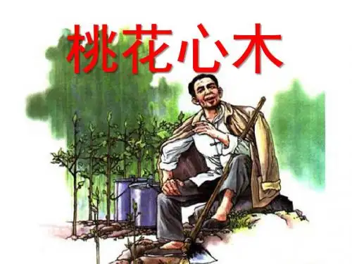《桃花心木》PPT课件7 (共17张PPT)