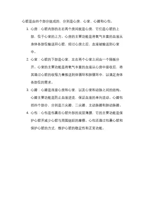 人类心脏的基本组成结构