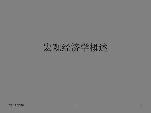 《宏观经济学概述》PPT课件