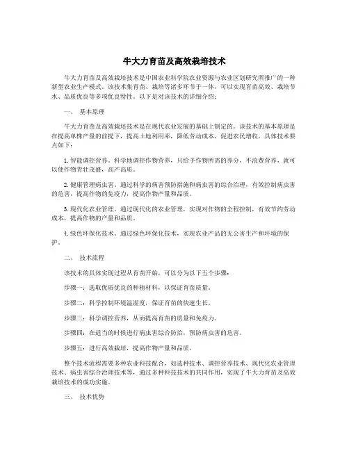 牛大力育苗及高效栽培技术