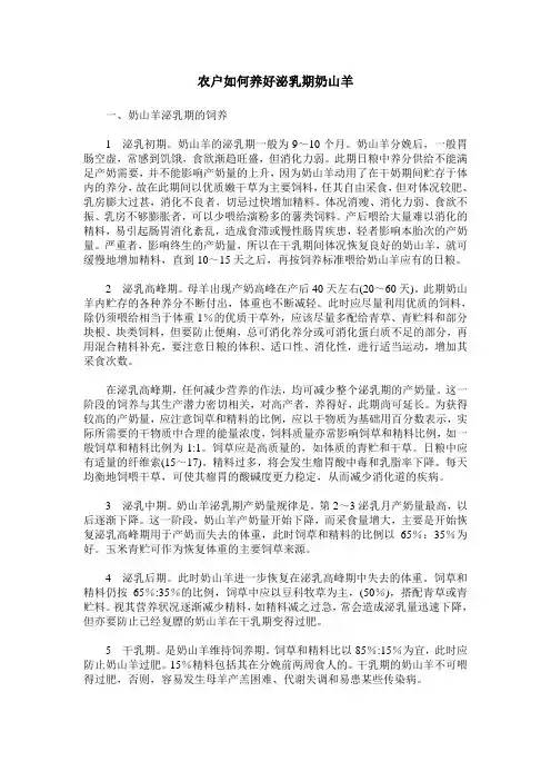 农户如何养好泌乳期奶山羊