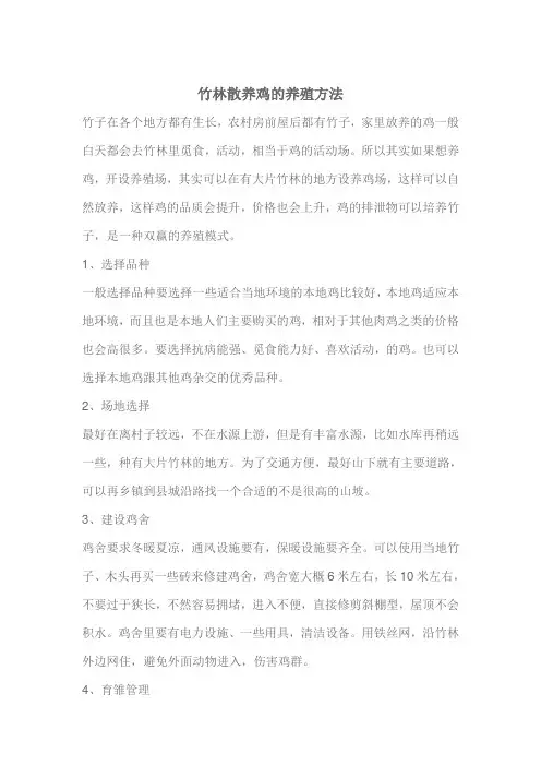 竹林散养鸡的养殖方法