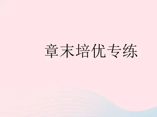 2023七年级数学下册第6章一元一次方程章末培优专练作业课件新版华东师大版