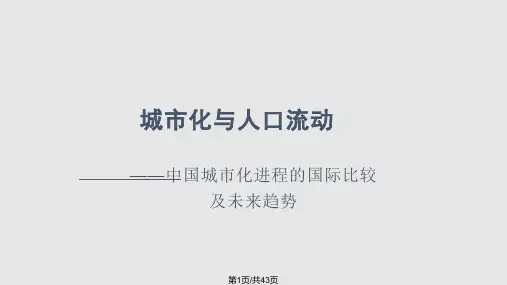 城市化与人口流动PPT课件