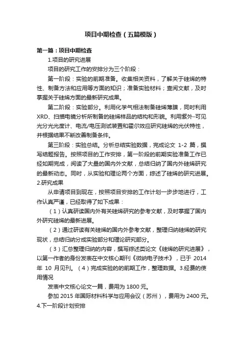 项目中期检查（五篇模版）