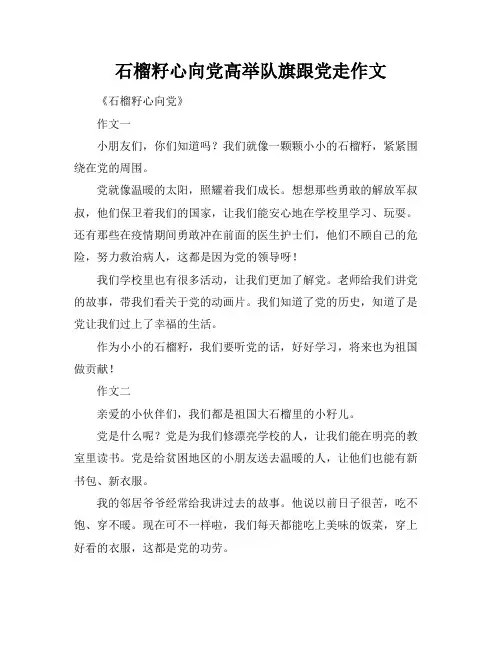 石榴籽心向党高举队旗跟党走作文