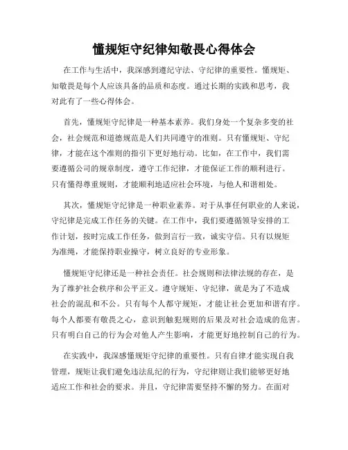懂规矩守纪律知敬畏心得体会