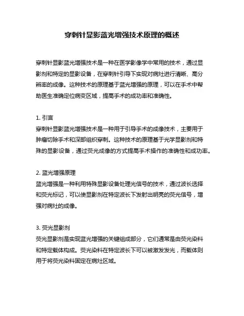 穿刺针显影蓝光增强技术原理的概述