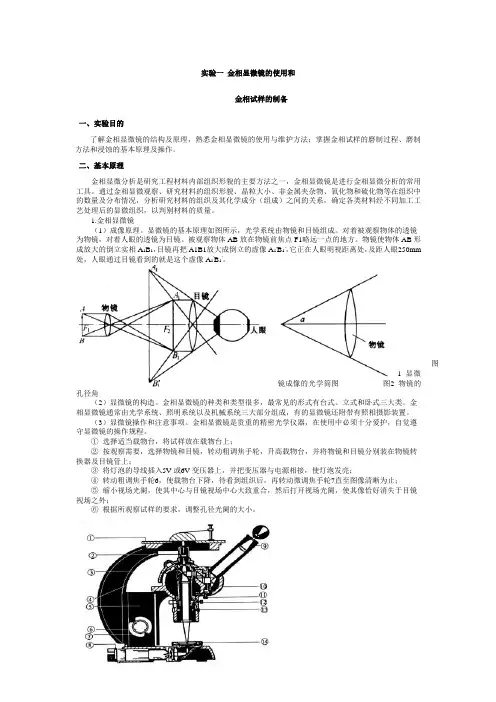 金相显微镜的使用