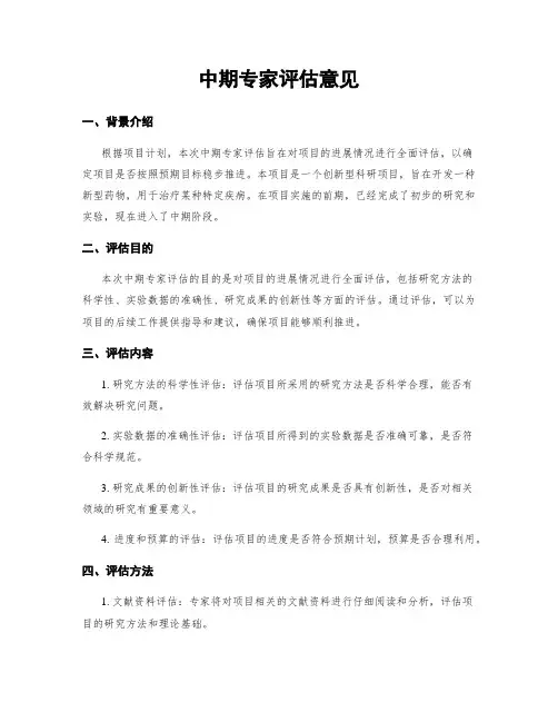 中期专家评估意见